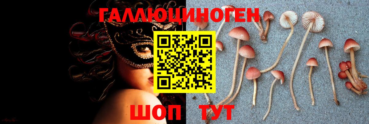 Галлюциногенные грибы прущие грибы  купить наркотики цена  Наро-Фоминск  Вход с VPN 